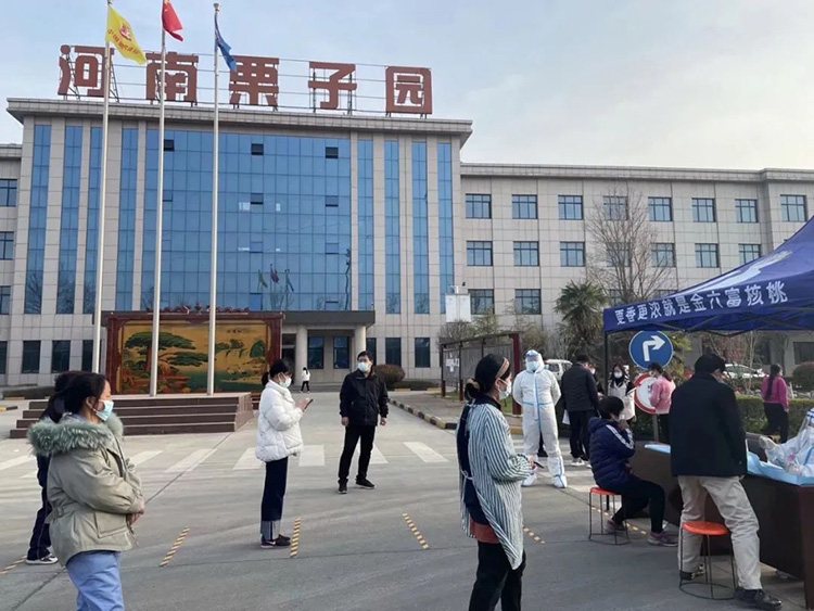 不怕不识货，就怕货比货。疫情防控常态化，栗子园为何能做到一骑红尘？